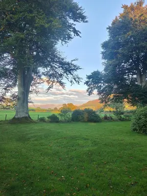 a large field with a tree in the middle of it at Cozy cottage at the base of Sale and Ling Fell in Embleton