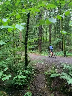 a person riding a bike on a trail in the woods at 1 Bed in Gatehouse Of Fleet oc-t34445 in Gatehouse of Fleet