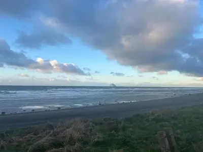 a beach with a flock of birds in the water at BZ Green Haven Caravan in Ballantrae
