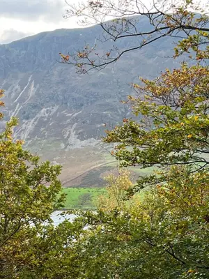 a view of a mountain through the trees at West Cumbria static caravan in Workington