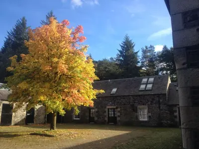 a tree in front of a stone house at Holiday Home Gehöft 4 by Interhome in Tweedsmuir