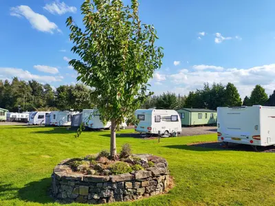 a tree in a stone circle in front of a group of rvs at Blencathra View - Uk50085 in Penruddock