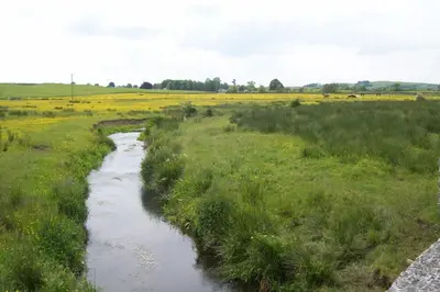 a river in the middle of a field at Cargenbank Farmhouse in Lochfoot