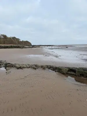 a beach with a rock wall in the sand at Paws A While in Mainsriddle