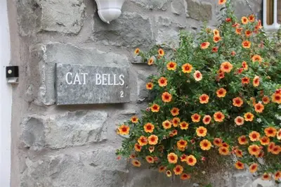 a sign on a wall with a bush of flowers at Catbells in Applethwaite