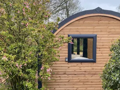 a building with a window and a tree at The Eden Hideaway - Uk1554 in Rockcliffe