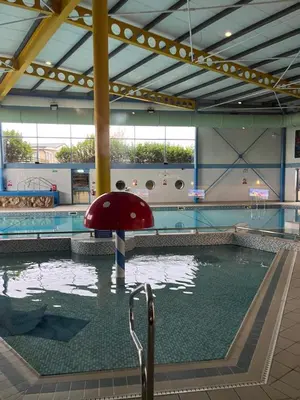 a swimming pool with a red mushroom in the water at Paws a while in Mainsriddle