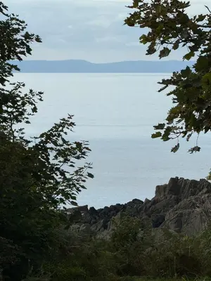 a view of the ocean from between two trees at Wee Knockinaam, Portpatrick - clifftop seaview in Portpatrick