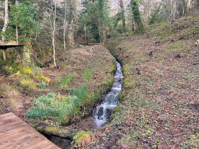 a stream of water in the middle of a forest at Outstanding Converted Mill in Beautiful Location - Pass the Keys in Gatehouse of Fleet
