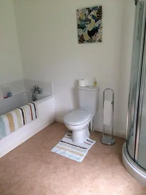 a bathroom with a toilet and a bath tub at Ballacowell in Sulby