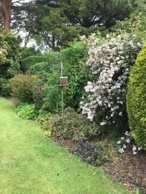 a garden with pink flowers and a bird feeder at Ballacowell in Sulby