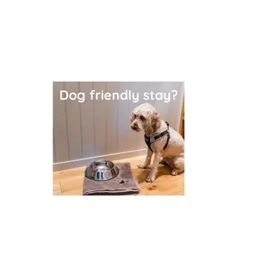 a dog friendly story with a bowl on the floor at Irvine Bay in Irvine