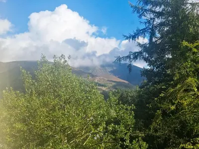 a view of a mountain with trees in the foreground at Harriet's Hideaway in Braithwaite