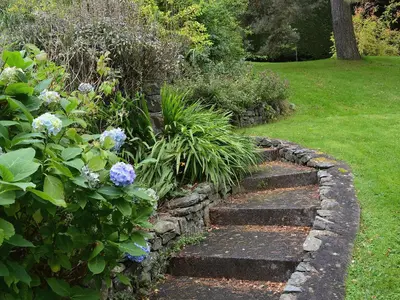 a garden with a stone path with blue flowers at Dye Mill Cottage in Moffat