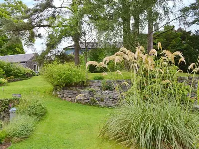 a garden with tall grass and a stone wall at Dye Mill Cottage in Moffat