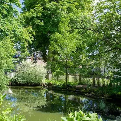 a garden with a pond with trees and a fence at Fell View in Troutbeck