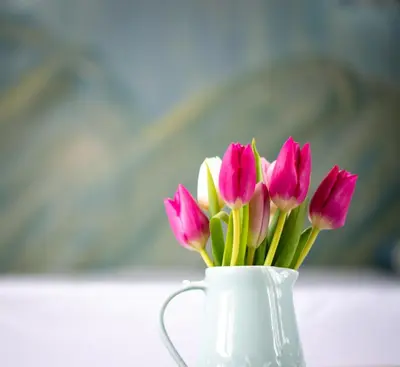 a white vase with pink flowers in it at The Mount B&B in Keswick