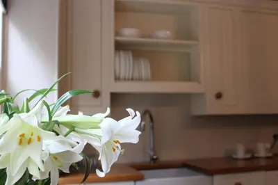 a bunch of white flowers in a vase on a kitchen counter at Ann's Hill in Cockermouth