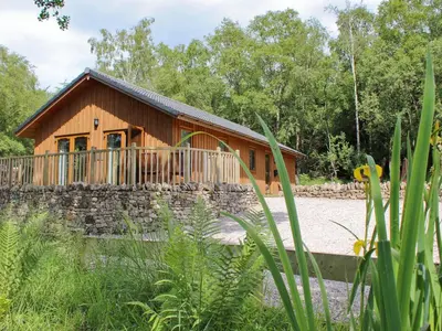 a cabin in the woods with a stone wall at Rowanburn Lodge in Ellonby