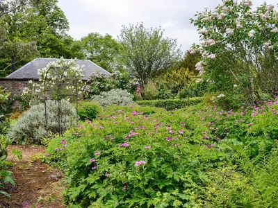 a garden with pink flowers in front of a house at Gilminscroft Gatehouse in Sorn