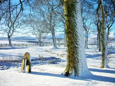 a bench in the snow next to a tree at Saddleback Barn in Penrith
