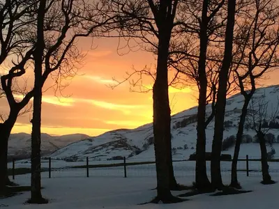 a group of trees in the snow at sunset at Howe End in Mungrisdale