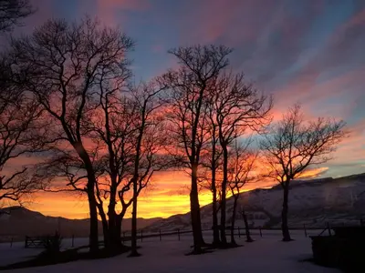 a group of trees with a sunset in the background at Howe End in Mungrisdale