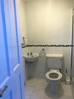 a bathroom with a toilet and a sink at Glenlossie Guest House in Dumfries