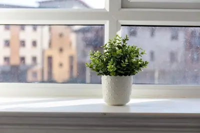 a plant in a white vase sitting on a window sill at The Original Donnini Apartment in Ayr