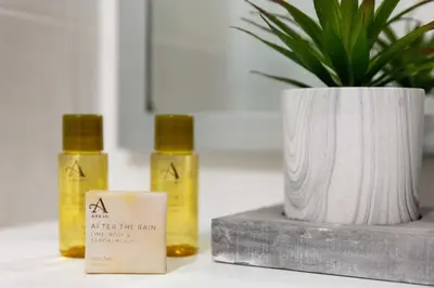 three bottles of essential oils next to a potted plant at The Original Donnini Apartment in Ayr