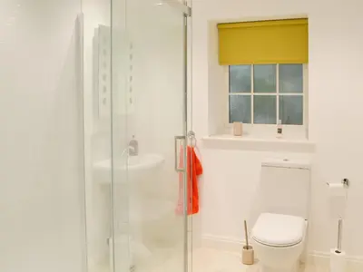 a bathroom with a shower and a toilet at The Coach House in Grasmere