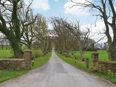 a dirt road with trees on both sides at Blaithwaite Stables in Blencogo