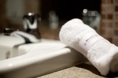 a roll of toilet paper sitting next to a sink at Western House Hotel At Ayr Racecourse in Ayr
