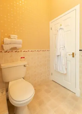 a bathroom with a toilet and a white door at The Hill Hotel in Dumfries