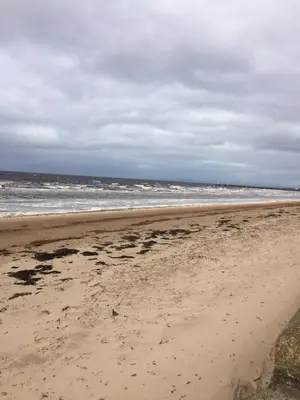 an empty beach with the ocean in the background at Mossie Apartment in Ayr