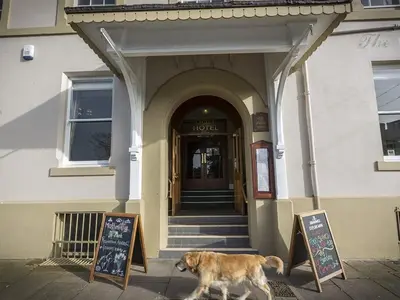 a dog standing in front of a building at The Golf Hotel in Silloth