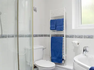 a bathroom with a toilet and a sink and a shower at Brandelhow in Keswick