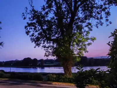 a tree in front of a lake at sunset at Hameish Holiday Cottage in Kirkcudbright