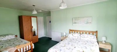 a bedroom with two beds and green walls at The Mariner Hotel in Kippford