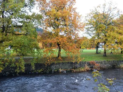 a river with trees and a stone wall next to a field at 2 Greta Side Court in Keswick