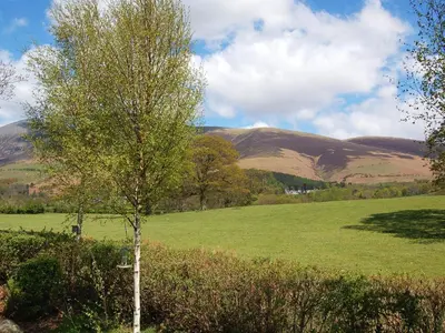 a tree in a field with mountains in the background at Whinny Brow - Burnside Park in Keswick
