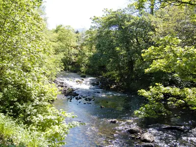 a river with trees and rocks in a forest at Brundholme Glen in Keswick