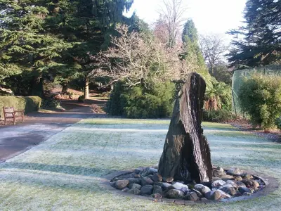 a tree stump in a pile of rocks in a park at Brundholme Glen in Keswick