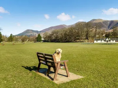a dog sitting on a bench in a field at Riverbank in Keswick