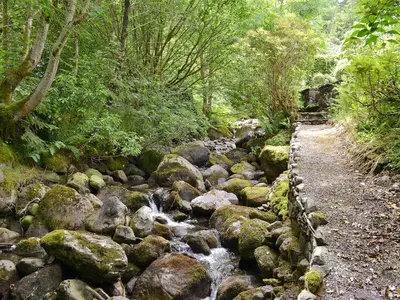 a stream of water with rocks and trees at Joan's Cottage in Braithwaite
