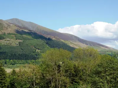 a view of a mountain with trees in the foreground at Bishop View in Braithwaite