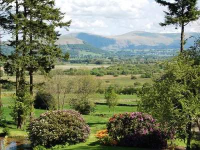 a view of a field with trees and flowers at Bishop View in Braithwaite