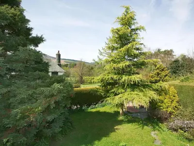 a large pine tree in a yard with a house at Whitegates in Portinscale