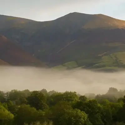 Bracken Howe