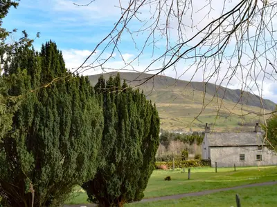 a row of trees in front of a house at Bridge House in Threlkeld